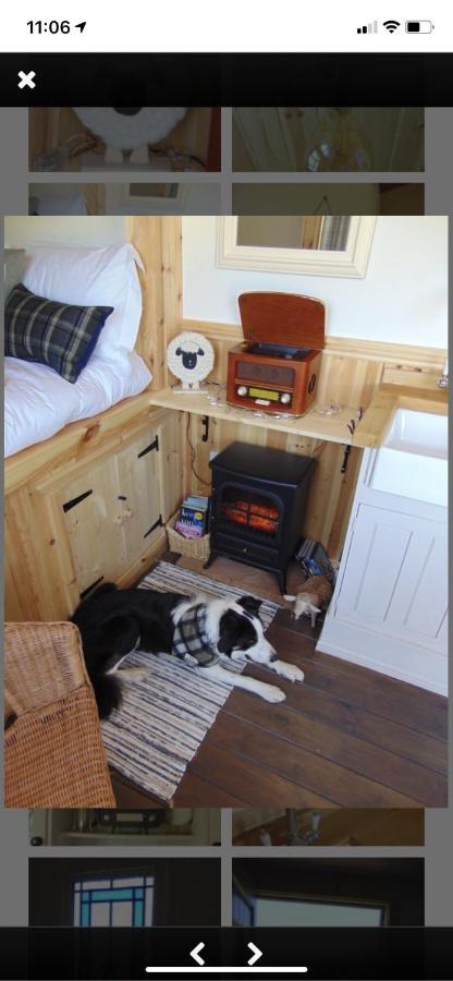 Sheepwash Shepherds Hut